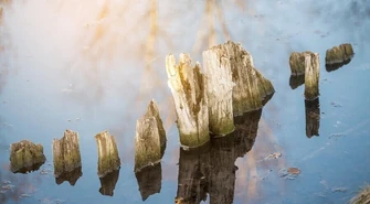 Fatalne konsekwencje skoku "na główkę"