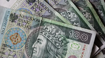 &#1053;&#1110;&#1084;&#1077;&#1094;&#1100;&#1082;&#1080;&#1081; &#1092;&#1086;&#1085;&#1076; &#1086;&#1088;&#1075;&#1072;&#1085;&#1110;&#1079;&#1091;&#1074;&#1072;&#1074; &#1076;&#1086;&#1087;&#1086;&#1084;&#1086;&#1075;&#1091; &#1091;&#1082;&#1088;&#1072;&#1111;&#1085;&#1094;&#1103;&#1084; &#1074; &#1055;&#1086;&#1083;&#1100;&#1097;&#1110;