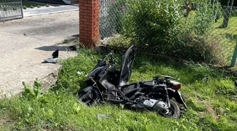 Feralne spotkanie na drodze [ZDJĘCIA, AKTUALIZACJA]