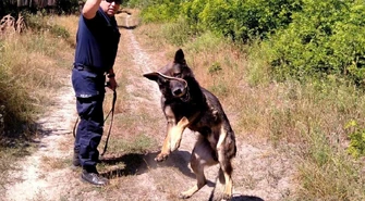 Czworonożni policjanci szkolili się pod okiem opiekunów