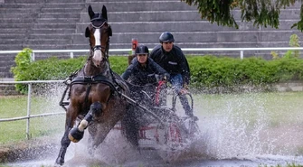 Zawody w powożeniu z Festiwalem Produktów Regionalnych