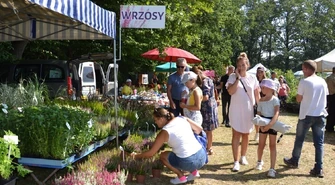 Trwa jubileuszowa ROL-SZANSA [ZDJĘCIA]