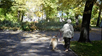 Złota Polska Jesień zawitała. Wybieracie się na spacer?