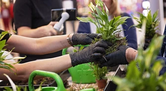 Posadź drzewo i wygraj hulajnogę