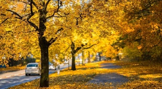 Pogoda szykuje niespodziankę na Wszystkich Świętych