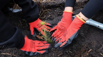 Focus Mall posadzi dwa tysiące drzew &#8211; dołącz do akcji!