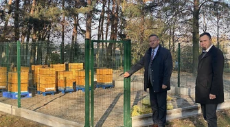 Pszczoły zadomowiły się w nowych ulach