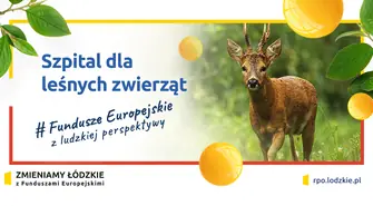 Szpital dla leśnych zwierząt