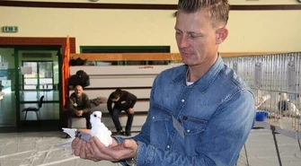 Wystawa gołębi rasowych