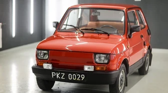 Maluch &#8222;Irek&#8221; do wylicytowania dla Patryka [ZDJĘCIA]