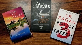 Książka na weekend &#8211; mroczny kryminał na grudniowy weekend