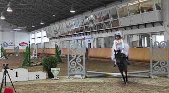 Mikołajkowe atrakcje w Stadzie Ogierów w Bogusławicach