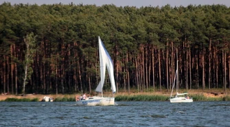 Bogactwo przyrody na wyciągnięcie ręki
