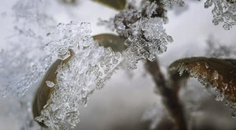 Przygotujcie czapki i rękawiczki. Nadchodzi mróz