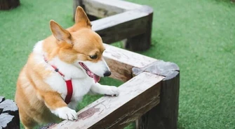 O inwestycjach 2023 roku w Piotrkowie, czyli co nam wybudują?