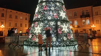 Dlaczego miejska choinka została ogrodzona?