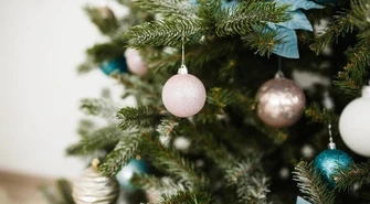 Co z choinką po świętach?