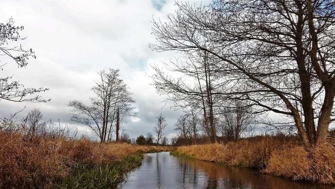 Ciało zaginionego odnalezione w rzece