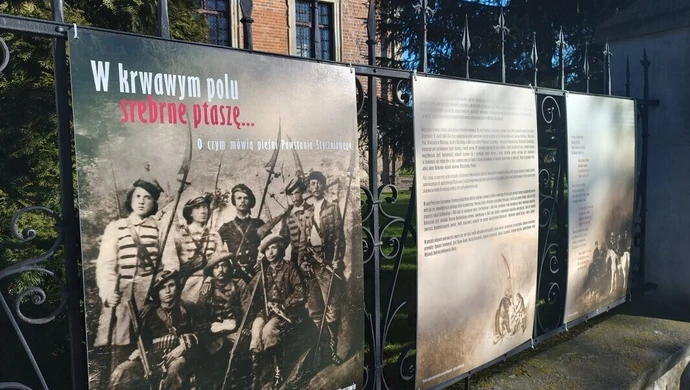 W krwawym polu srebrne ptaszę...