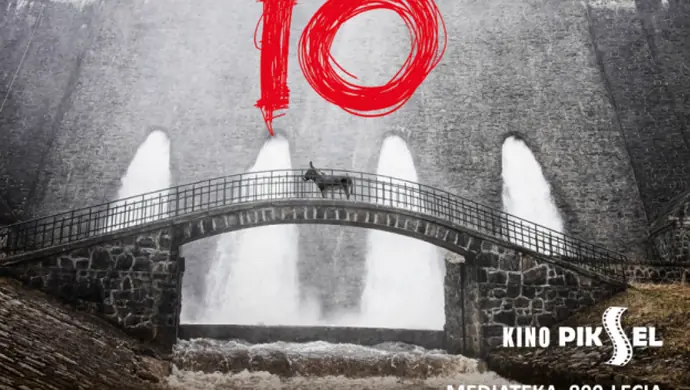 Polski kandydat do Oskara w kinie Piksel