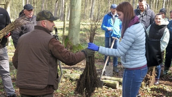 Zapraszają do wspólnego sadzenia lasu