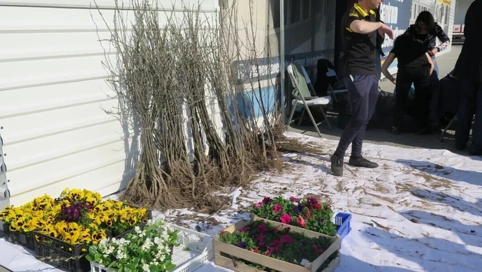 Przeczytaj książkę, a dostaniesz drzewko