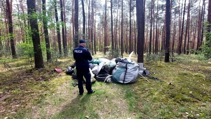 Zostawił śmieci w lesie, odpowie przed sądem