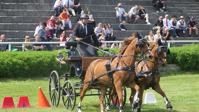Międzynarodowe zawody i atrakcje dla dzieci