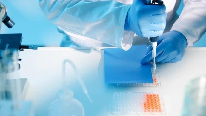 Naukowcy z Łodzi promują metody alternatywne będące ratunkiem dla zwierząt laboratoryjnych