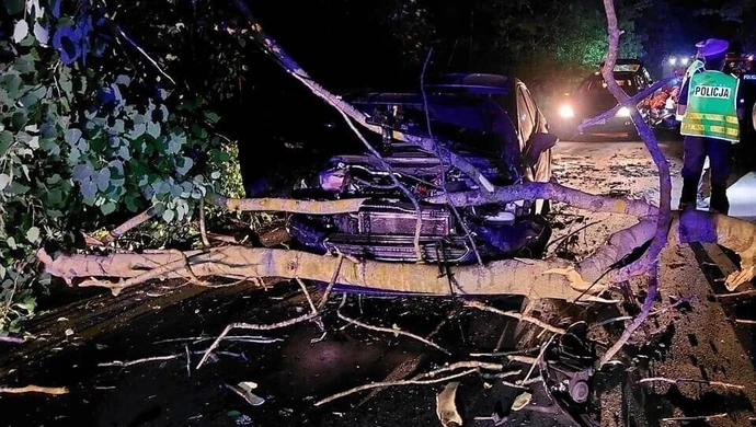 Wypadek pod Piotrkowem. Ford uderzył w przewrócone drzewo