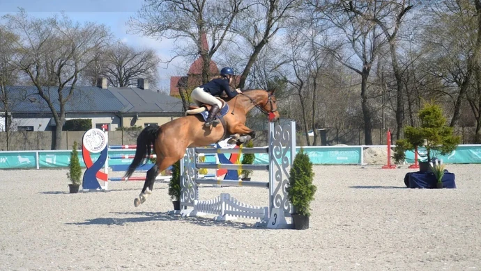 Spędź weekend ze stadem ogierów