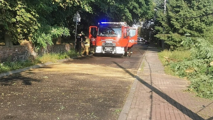 Połamane drzewa, zgubione tablice i zalane posesje...