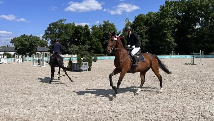 Wojewódzki Czempionat w Bogusławicach