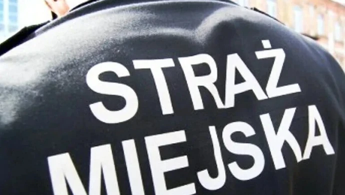 Gdzie się podziały niedzielne patrole?