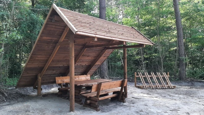 Wyrastają w lasach jak grzyby po deszczu