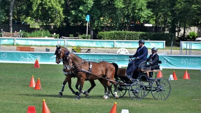 Mistrzostwa Polski w Powożeniu w Bogusławicach