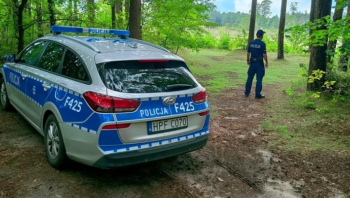 Co warto wiedzieć przed wybraniem się na leśną wycieczkę?
