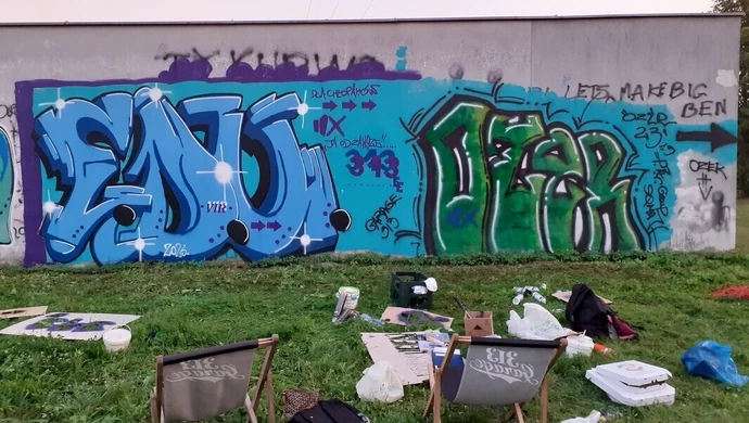 Uliczni artyści ozdabiają garaże