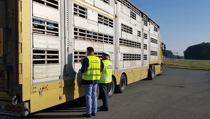 Nocna kontrola ITD na S8