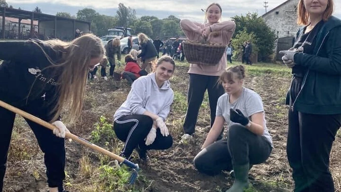 Z motyką na... ziemniaki [ZDJĘCIA]