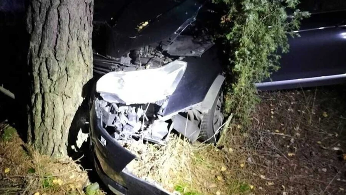 Pijany kierowca uderzył w drzewo