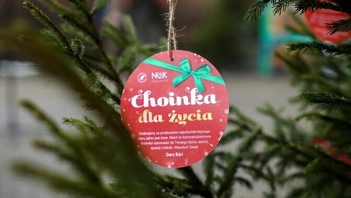 Oddaj krew i zabierz choinkę