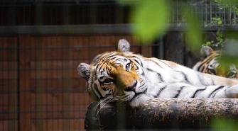 ZOO Gdańsk &#8211; niezwykłe, warto odwiedzenie miejsce