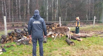 Skazani pracowali w Leśnej Osadzie