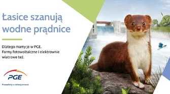 Wiosenna kampania wizerunkowa &#8222;PGE Prowadzimy w zielonej zmianie&#8221;
