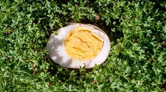 Żółtko jajka bardziej wartościowe od białka