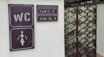 "Toaletowi" złodzieje w rękach policjantów