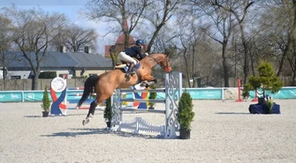 Spędź weekend ze stadem ogierów