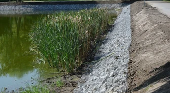 Czekamy na wodę w stawie