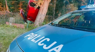 Rozpędzony uderzył w drzewo. 47-latek nie przeżył wypadku